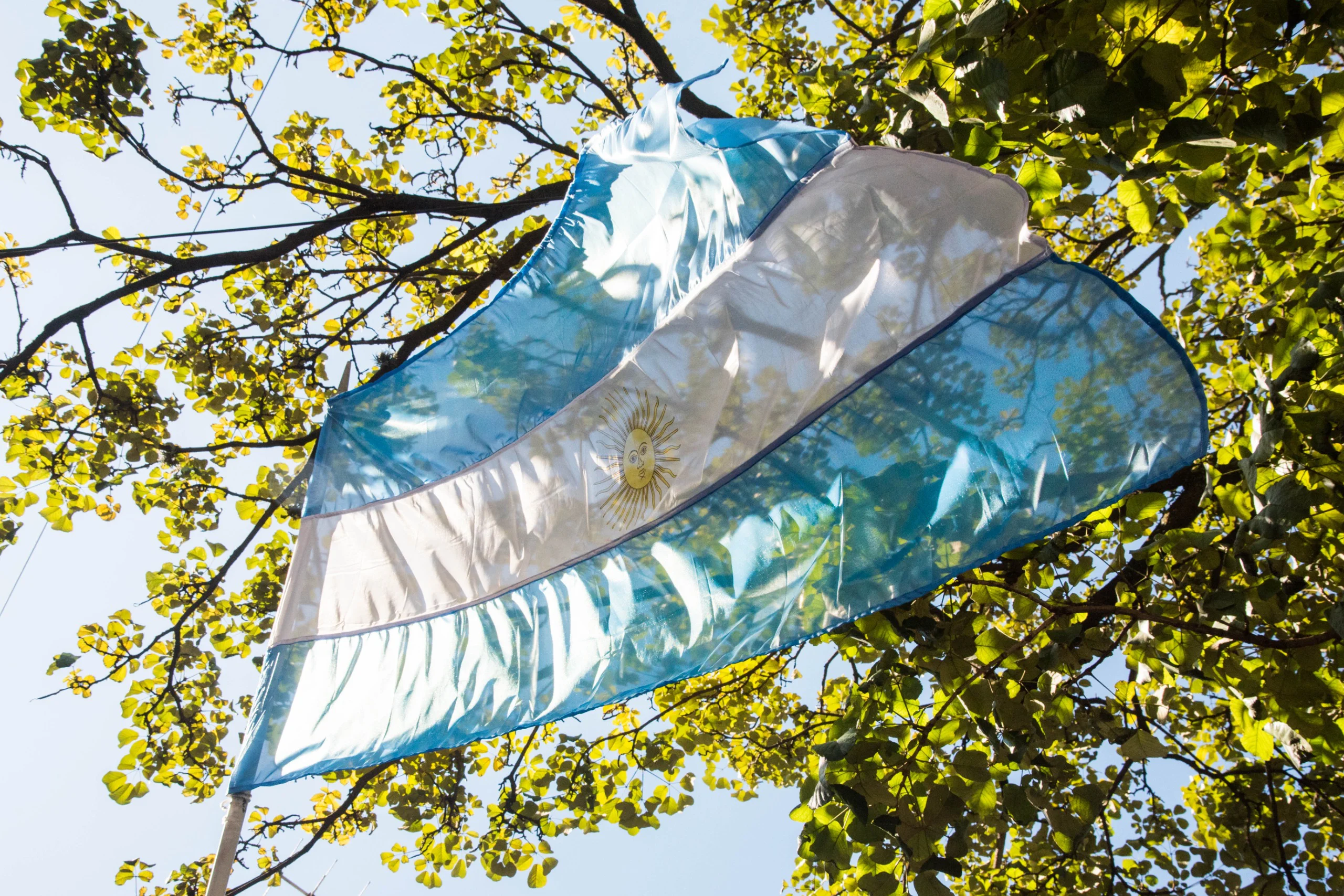 Con una variada agenda cultural y recreativa, la Ciudad celebra el Día de la Bandera